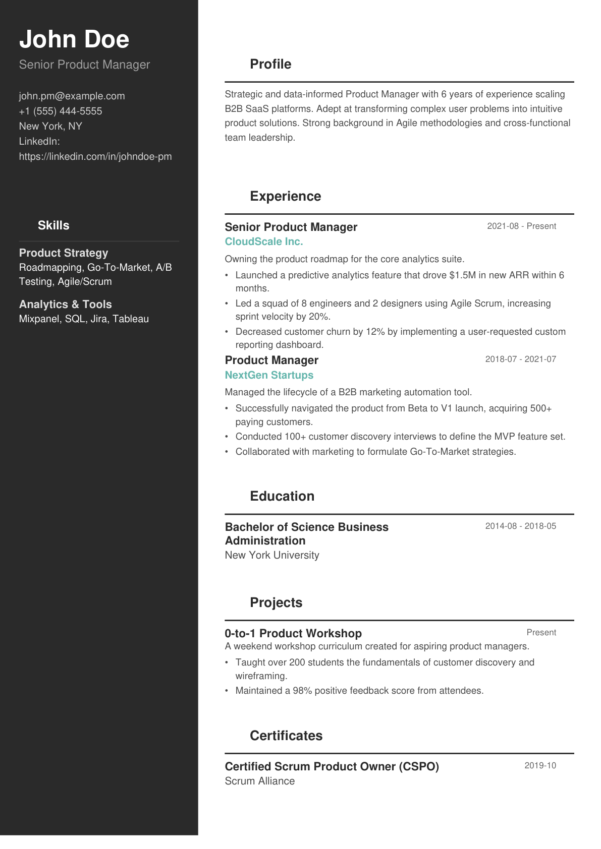 Modern resume template preview